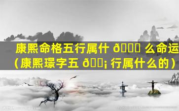 康熙命格五行属什 🐛 么命运（康熙璟字五 🐡 行属什么的）